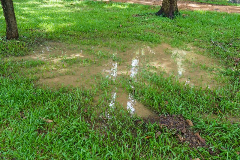 Yard Drain Installation in Birmingham, AL